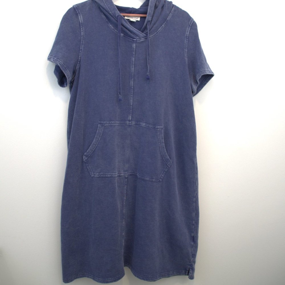 Coldwater Creek dress sz L